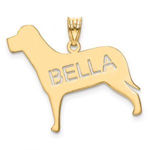 Laser Polished Dog Name Pendant