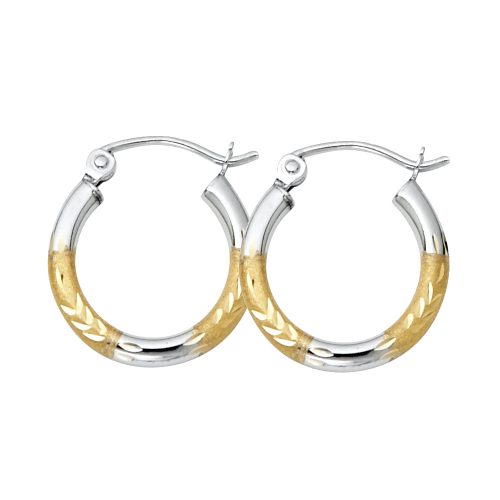 Hoops Earrings - ER87