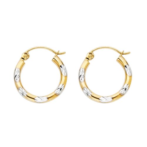 Hoops Earrings - ER970