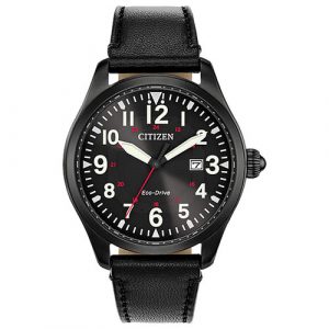Men ECO WR100 SSB Stra Blck