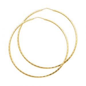 Hoop Earrings - ER193