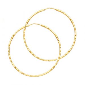 Hoop Earrings - ER196