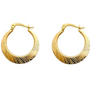 Fancy Hoop Earrings  - ER25