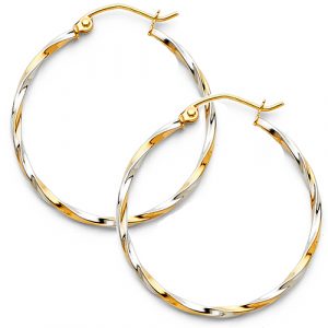 Fancy Hoop Earrings  - ER39