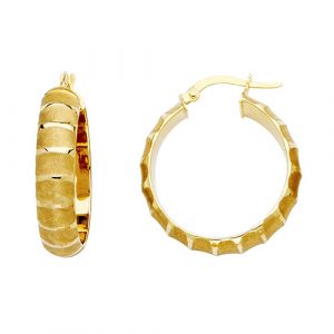Fancy Hoop Earrings  - ER467