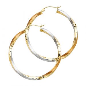 Fancy Hoop Earrings  - ER59